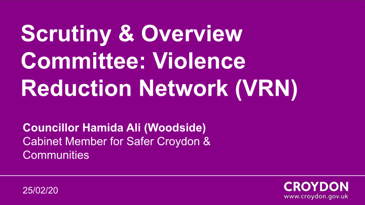 scrutiny overview committee violence reduction network vrn