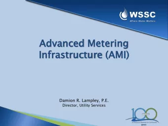 Infras  astruc  tructu  ture  re (AMI)  I)  Damion R. Lampley, P.E.  Director, Utility Services