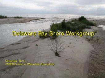 Delaware Bay Shore Workgroup  November  2010  DNREC Division of Watershed Stewardship  Drainage and