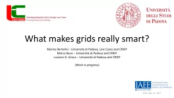 What makes grids really smart?  Marina Bertolini - Universit di Padova, Levi Cases and CRIEP