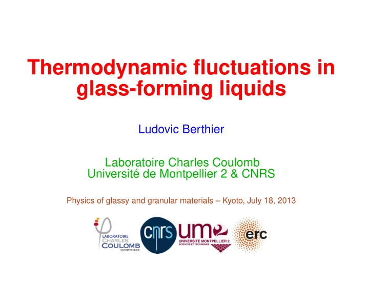 thermodynamic fluctuations in glass forming liquids