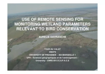 USE OF REMOTE SENSING FOR  MONITORING WETLAND PARAMETERS  RELEVANT TO BIRD CONSERVATION  AURELIE