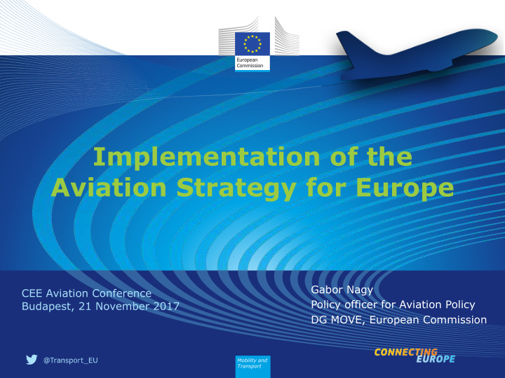 implementation of the aviation strategy for europe