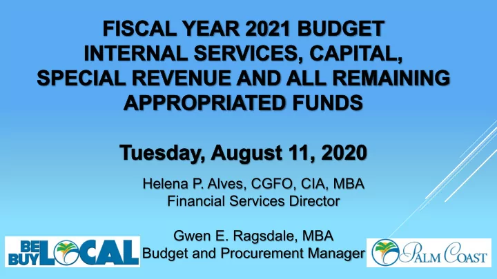 helena p alves cgfo cia mba financial services director