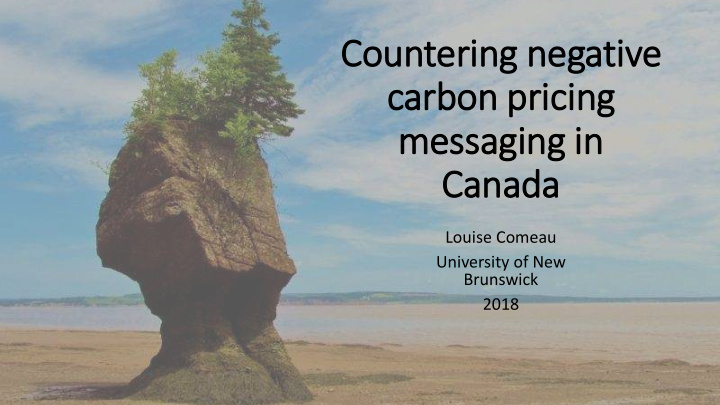 countering negative carbon pricing