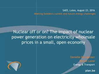 power generation on electricity wholesale  prices in a small, open economy  Danielle Devogelaer