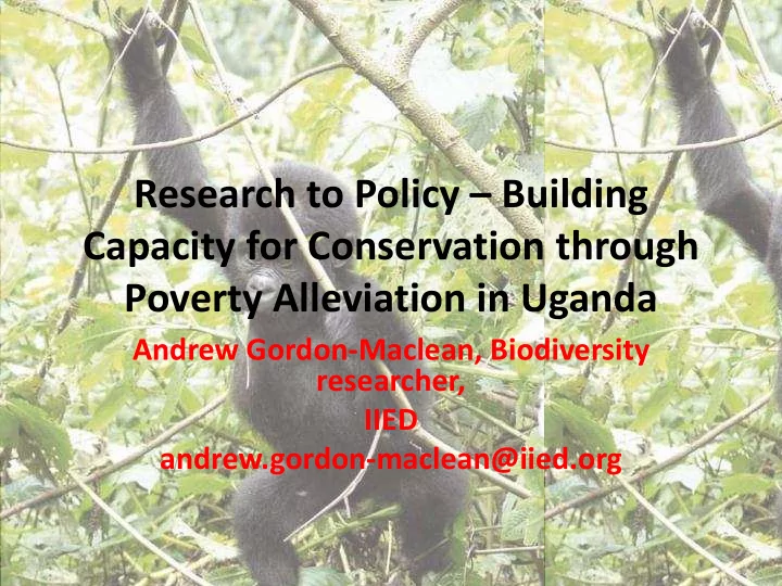 research to policy building