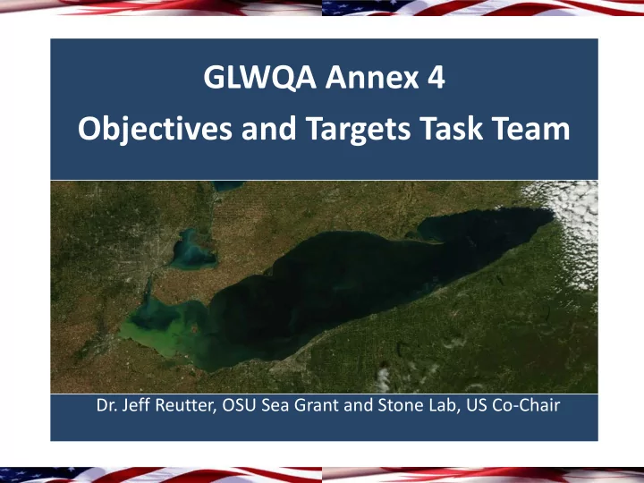 glwqa annex 4 objectives and targets task team