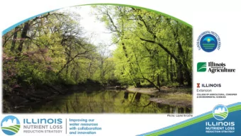 Photo: Layne Knoche  Key P  Points  Overview of Illinois NLRS  Gulf Hypoxia  Nutrient