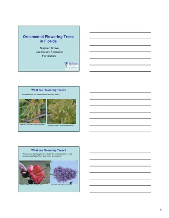 Ornamental Flowering Trees  in Florida  Stephen Brown  Lee County Extension  Horticulture  What are