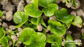 Grupo Nutresa S.A.  Results 3Q 2019 RELEVANT EVENTS  MERCO REPUTATION AND DOW JONES