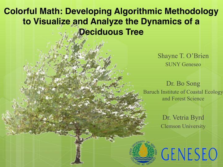 colorful math developing algorithmic methodology to