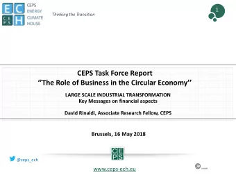 CEPS Task Force Report  The Role of Business in the Circular Economy  LARGE SCALE