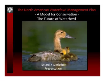The North American Waterfowl Management Plan  A Model for Conservation  The Future of
