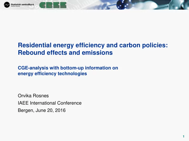 cge analysis with bottom up information on energy