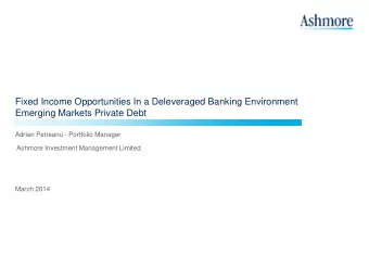 Fixed Income Opportunities In a Deleveraged Banking Environment  Emerging Markets Private Debt