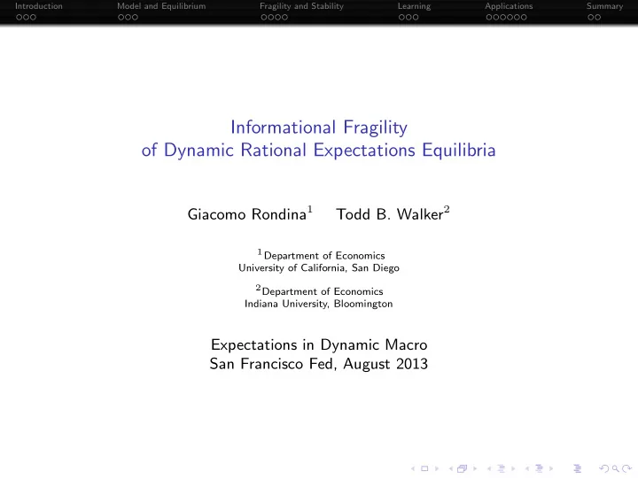 informational fragility of dynamic rational expectations