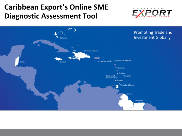 caribbean export s online sme diagnostic assessment tool