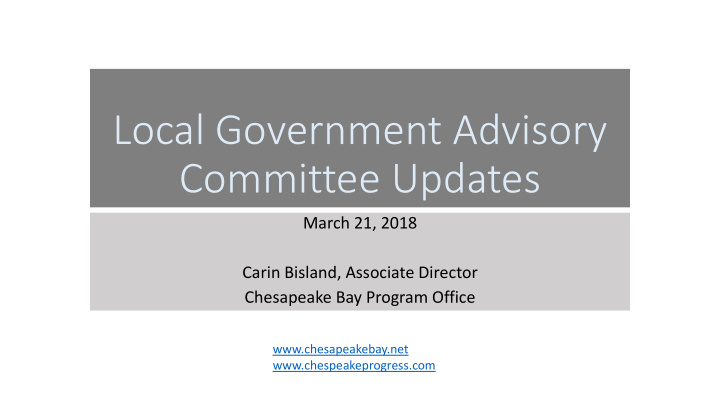 local government advisory