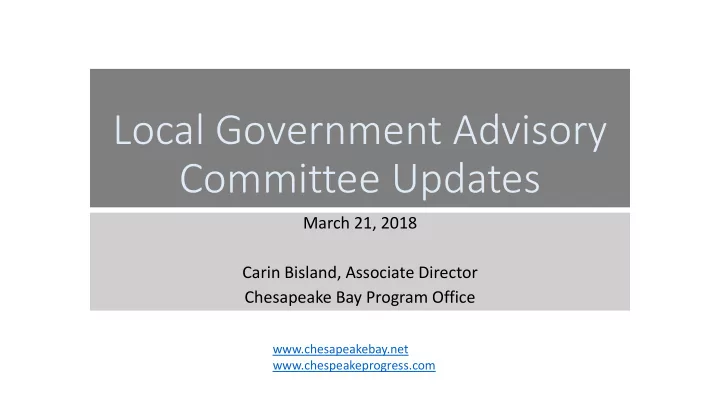 local government advisory