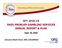 sfy 2018 19 ohio problem gambling services annual report