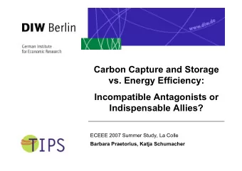 Carbon Capture and Storage  vs. Energy Efficiency:  Incompatible Antagonists or  Indispensable