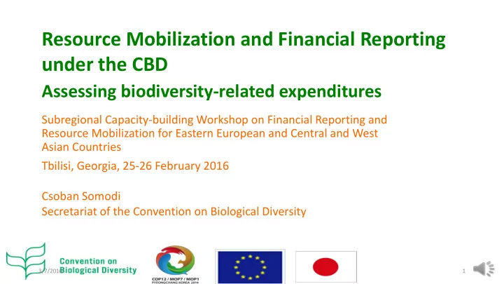 resource mobilization and financial reporting under the