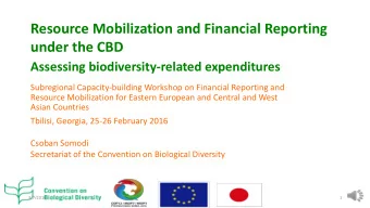 Resource Mobilization and Financial Reporting  under the CBD  Assessing biodiversity-related