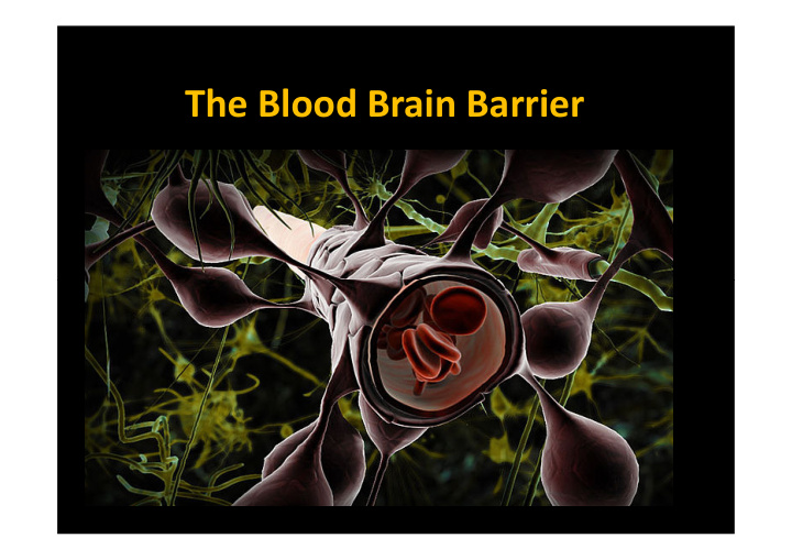 the blood brain barrier learning objectives