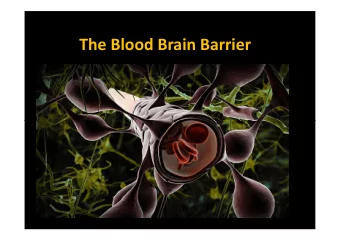 The Blood Brain Barrier  Learning objectives  Basic understanding of BBB structure and role