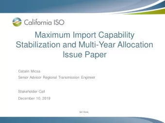 Maximum Import Capability  Stabilization and Multi-Year Allocation  Issue Paper  Catalin Micsa