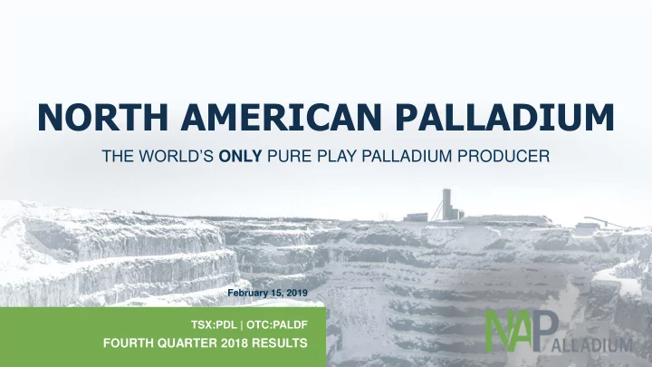 north american palladium