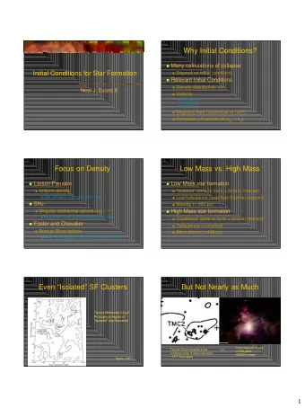 Why Initial Conditions?  Many calculations of collapse  Initial Conditions for Star Formation