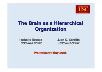 The Brain as a Hierarchical  The Brain as a Hierarchical  Organization  Organization  I sabelle