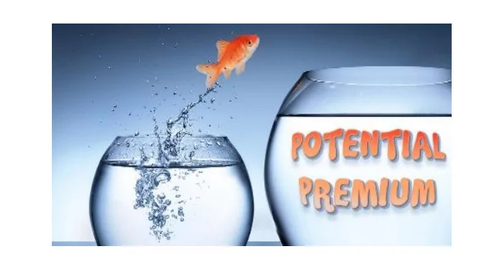 pupil premium 2018