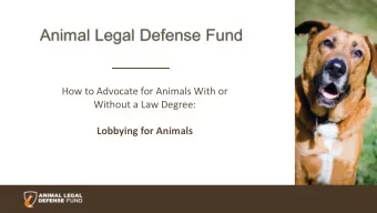 How to Advocate for Animals With or  Without a Law Degree:  Lobbying for Animals  Agenda  Bill