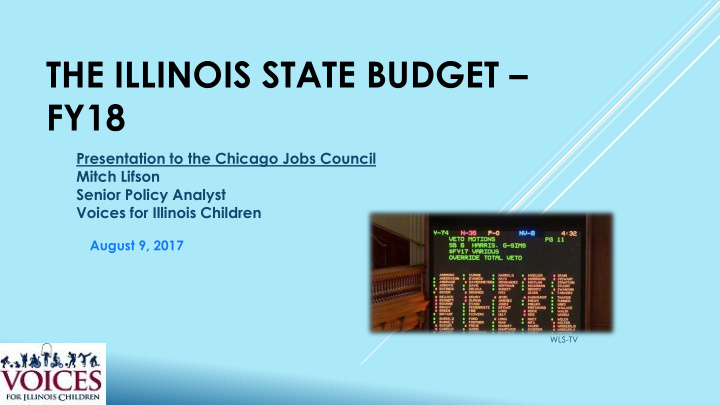 the illinois state budget