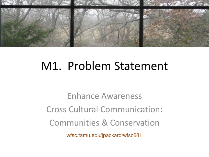 m1 problem statement