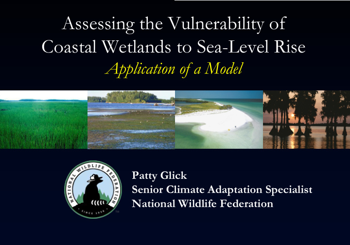 assessing the vulnerability of coastal wetlands to sea