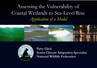 Assessing the Vulnerability of  Coastal Wetlands to Sea-Level Rise  Application of a Model  Patty