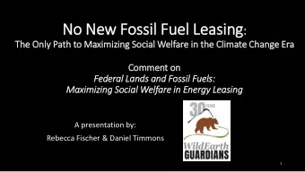 Outline of Argument  Professor Hein:  DOI has a duty to consider public welfare in its