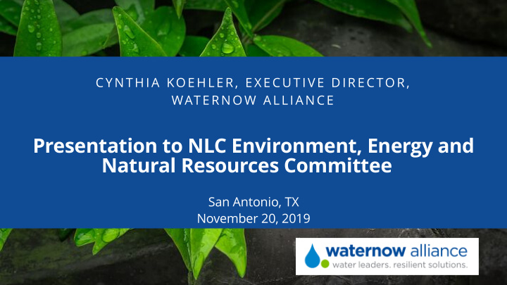 presentation to nlc environment energy and natural