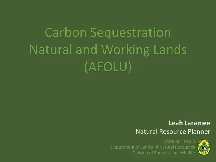 leah laramee natural resource planner
