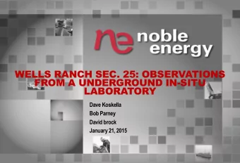 WELLS RANCH SEC. 25: OBSERVATIONS  FROM A UNDERGROUND IN-SITU  LABORATORY  Dave Koskella  Bob