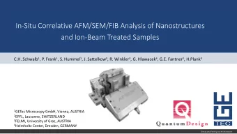 In-Situ Correlative AFM/SEM/FIB Analysis of Nanostructures  and Ion-Beam Treated Samples C.H.