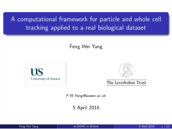 A computational framework for particle and whole cell  tracking applied to a real biological