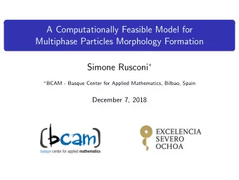 A Computationally Feasible Model for  Multiphase Particles Morphology Formation Simone Rusconi