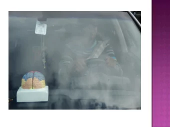 Birth to 36 months  Young Infant  birth  8 months  Mobile Infant  6  18 months