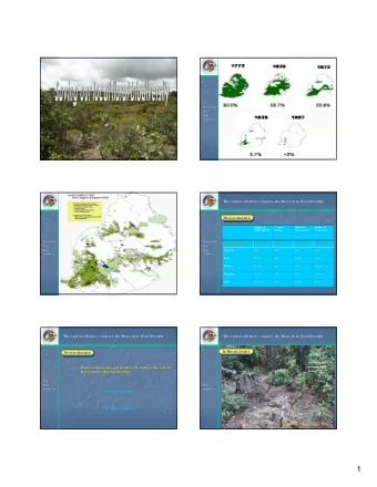 1  T  he  c urre nt e ffo rts to  c o nse rve  the  Ma sc a re ne flo ra l dive rsity  T  he  c