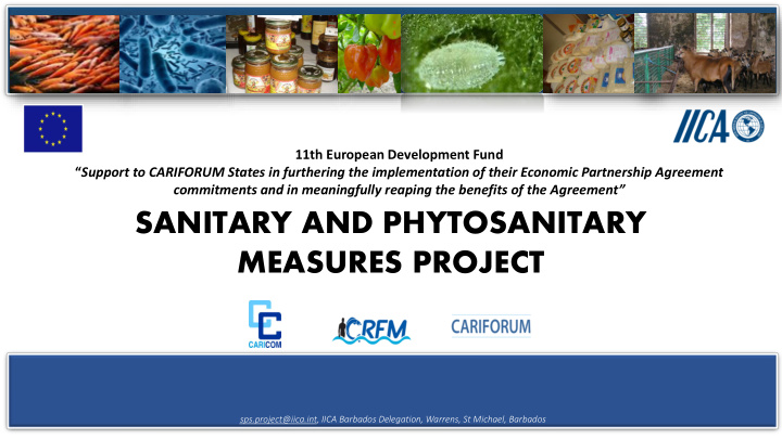sanitary and phytosanitary measures project